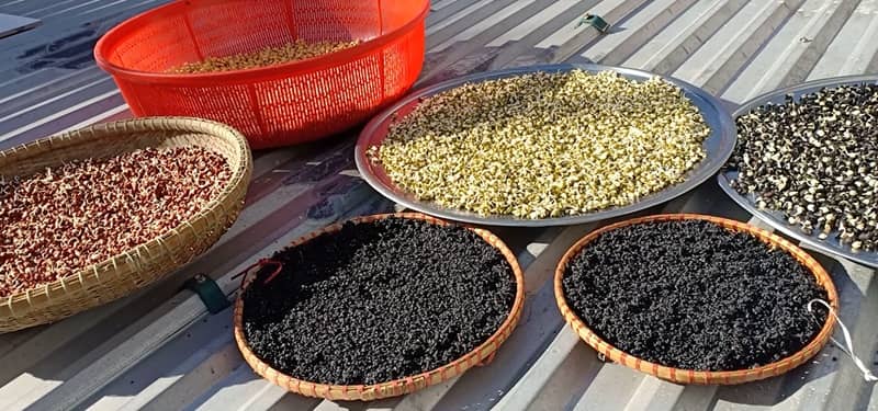 cách làm bột ngũ cốc 5 loại đậu