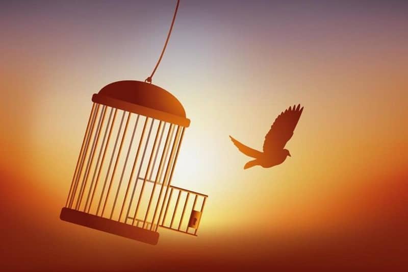 Ngày ăn lại gà rán, tôi khóc như một đứa trẻ