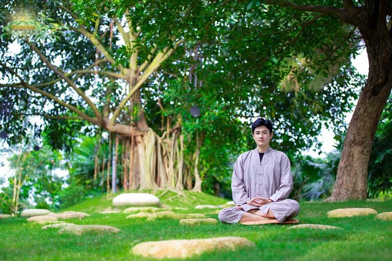 Ngũ vị tân là gì Ngũ vị tân là gì