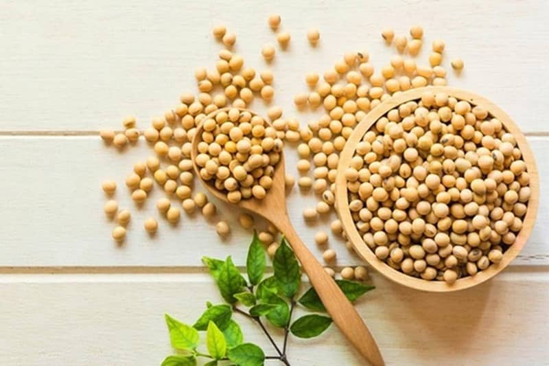 thực phẩm giàu protein thực vật