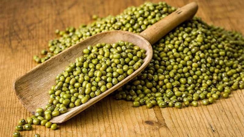 thực phẩm giàu protein thực vật