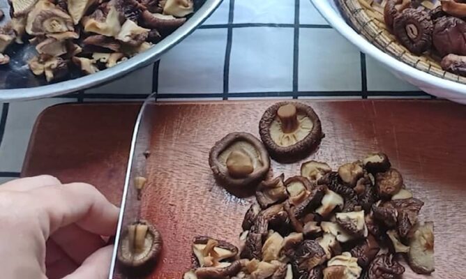 nấm xào sả ớt chay