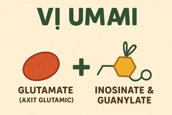 umami là gì